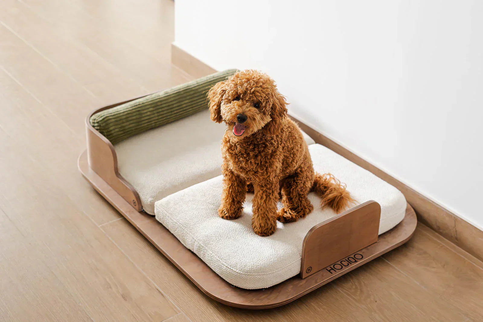 Cómo elegir el espacio de descanso ideal para tu perro