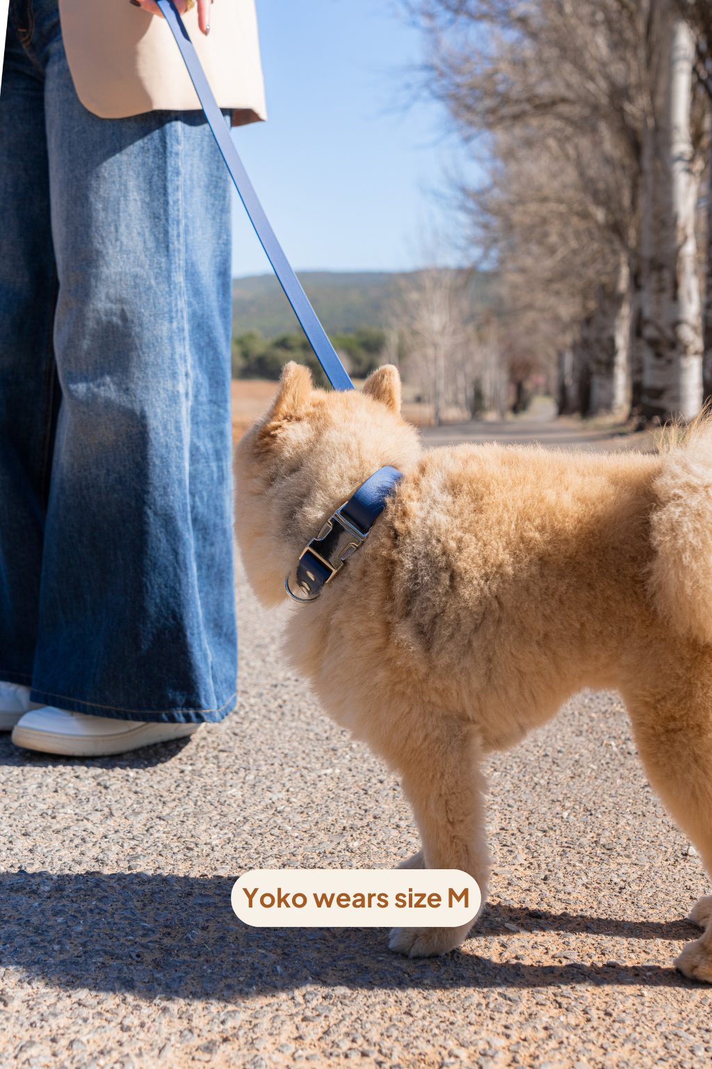 Collar Click - Marine