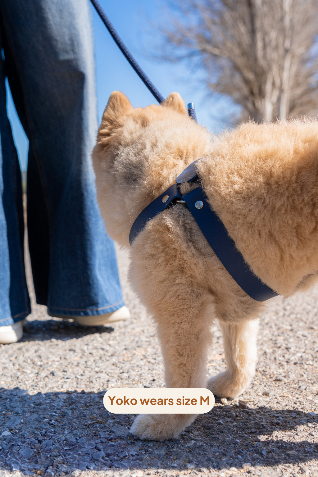 Arnés en Y - Marine