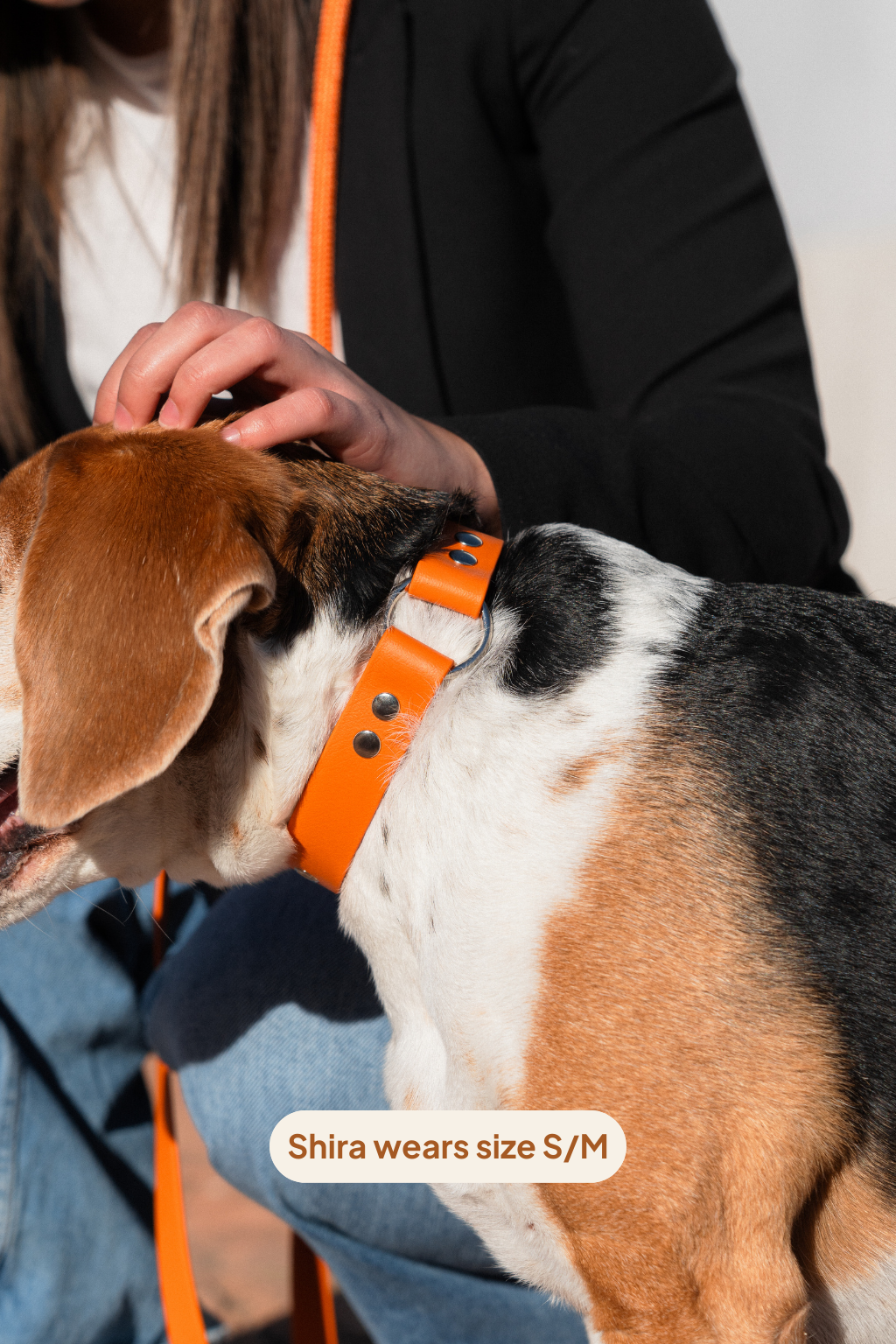 Collar Classic - Amber