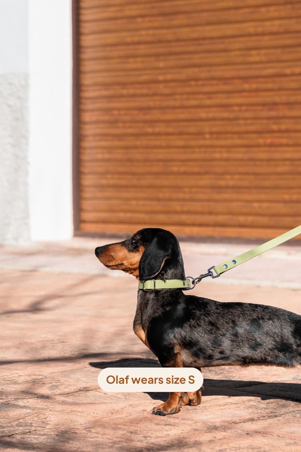 Collar Click - Matcha