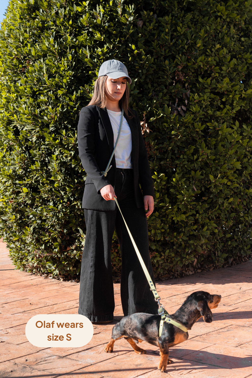 Arnés en Y - Matcha