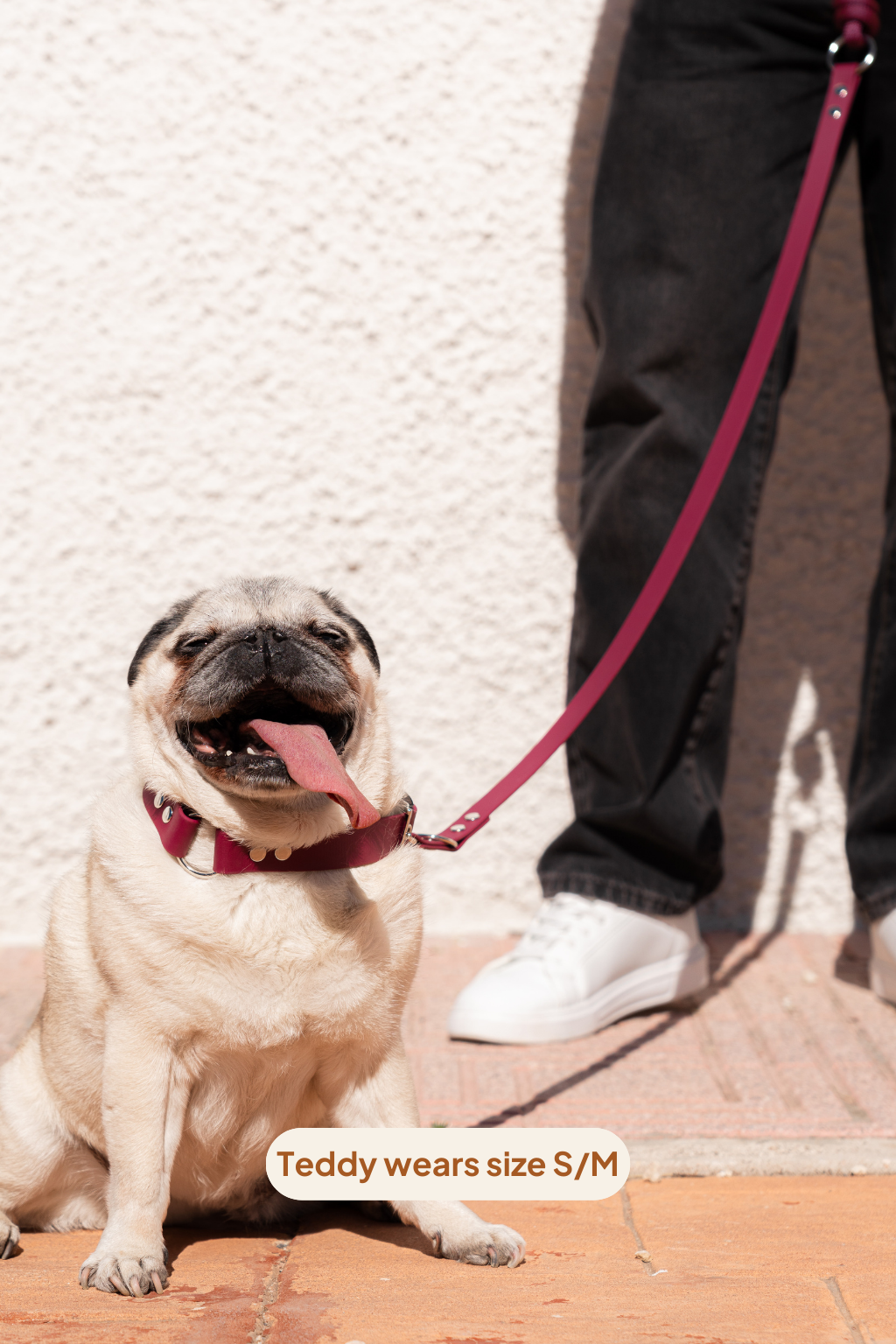 Collar Classic - Velvet