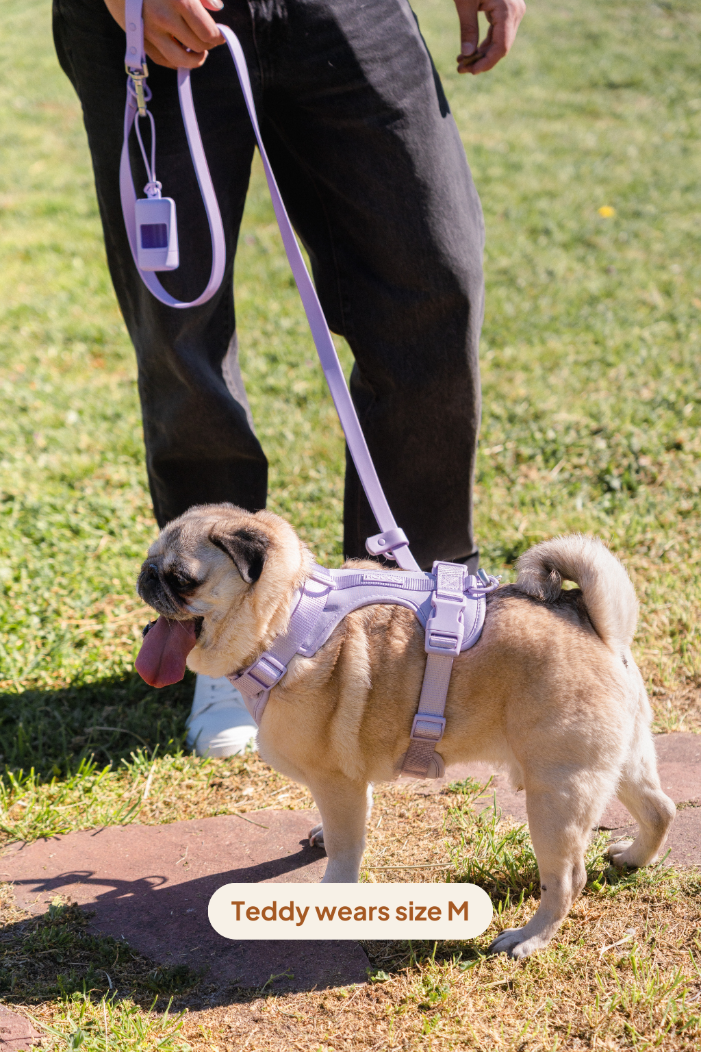 Arnés Sport - Lilac