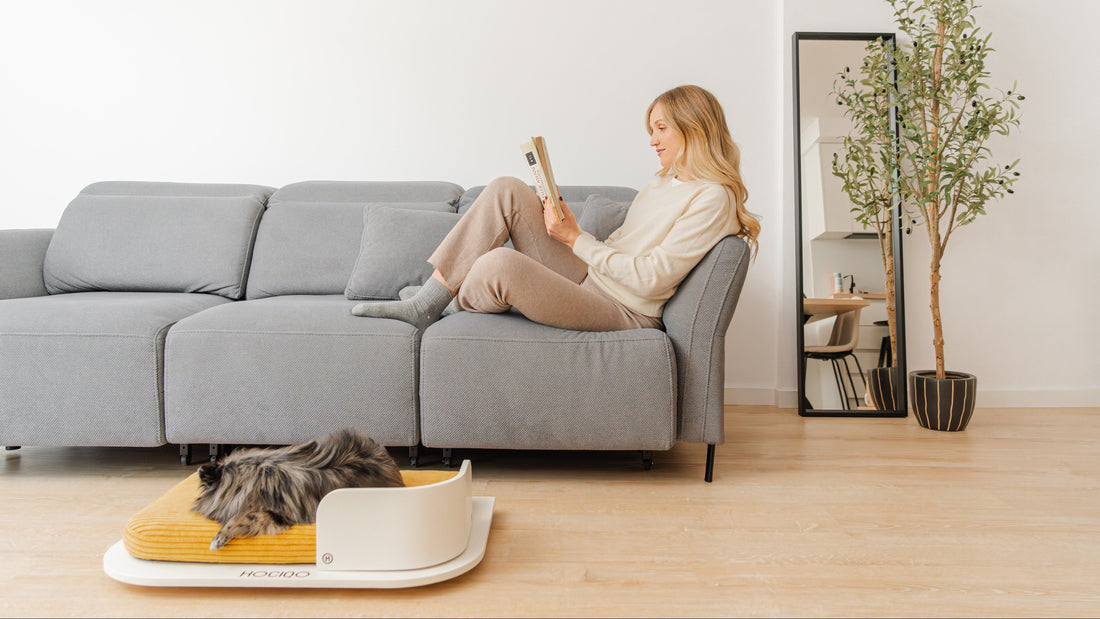 Cómo enseñar a tu perro a dormir en su cama paso a paso