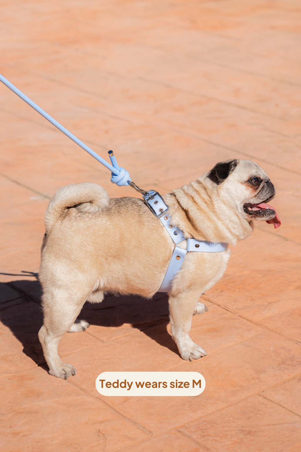 Arnés en Y - Glacier