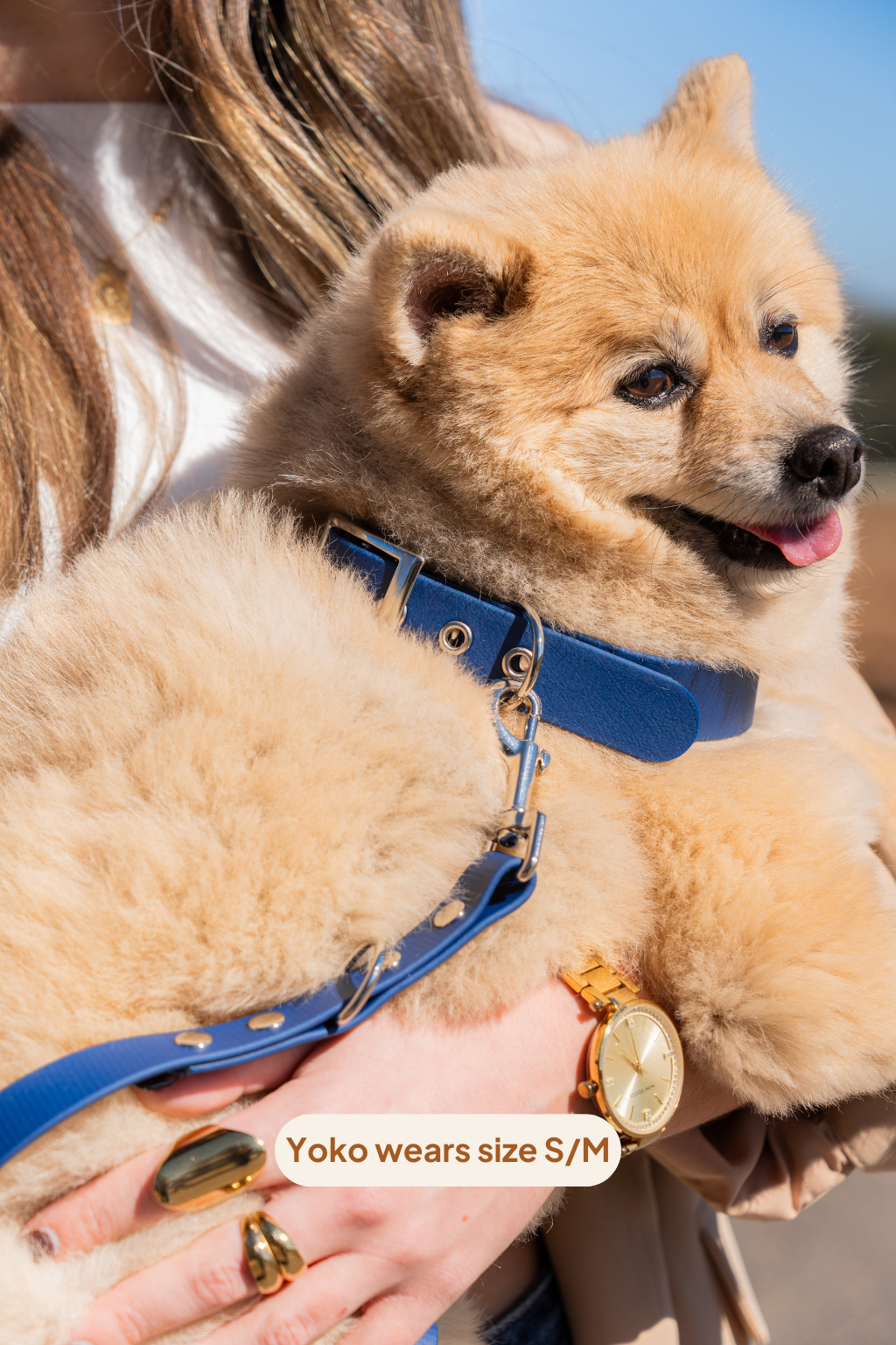 Collar Classic - Marine