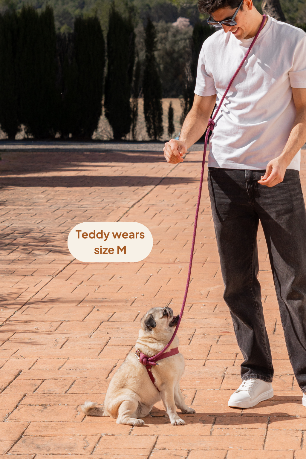 Arnés en Y - Velvet