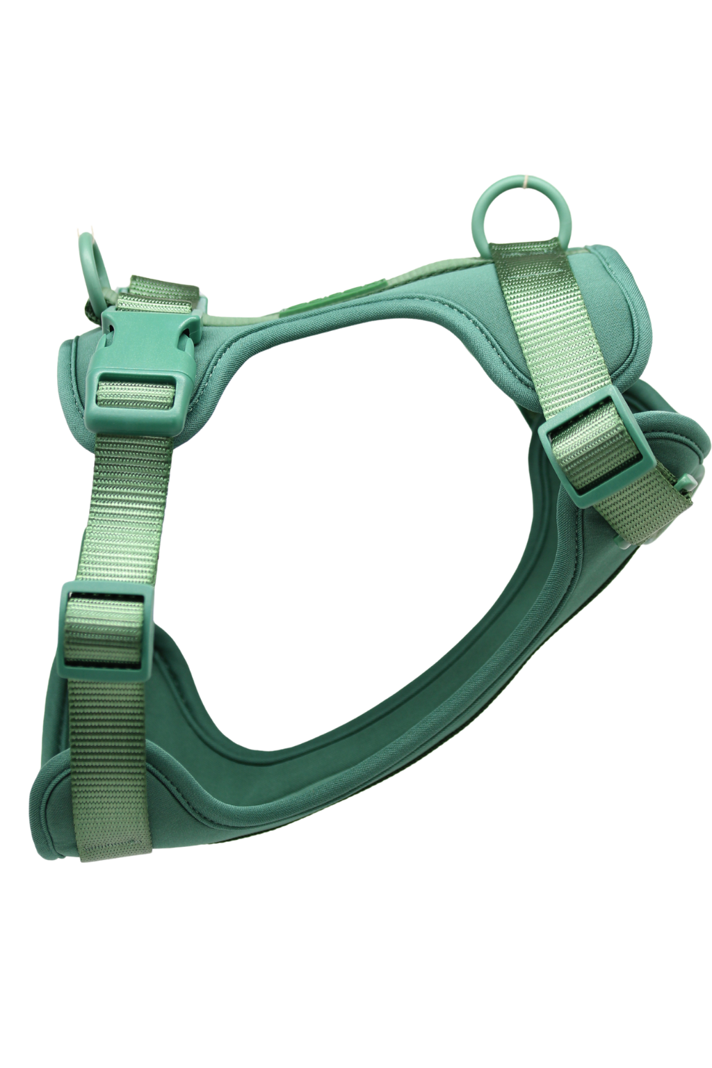 Arnés Sport - Amazona