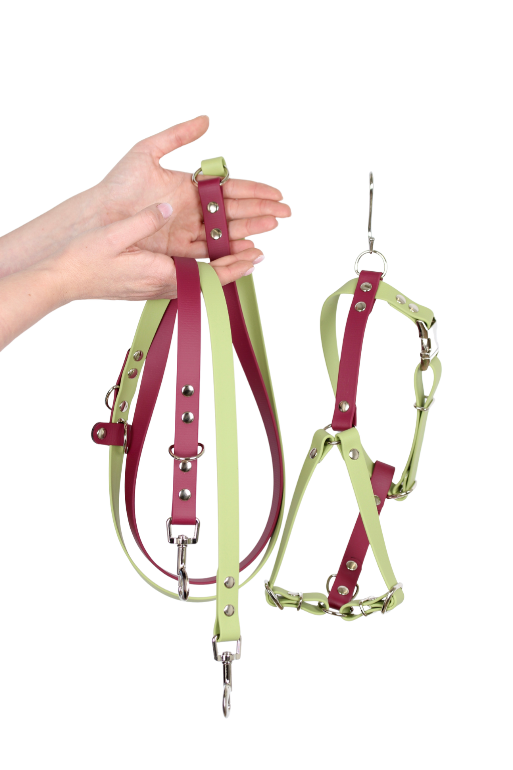 Kit Premium Arnés - Matcha & Velvet