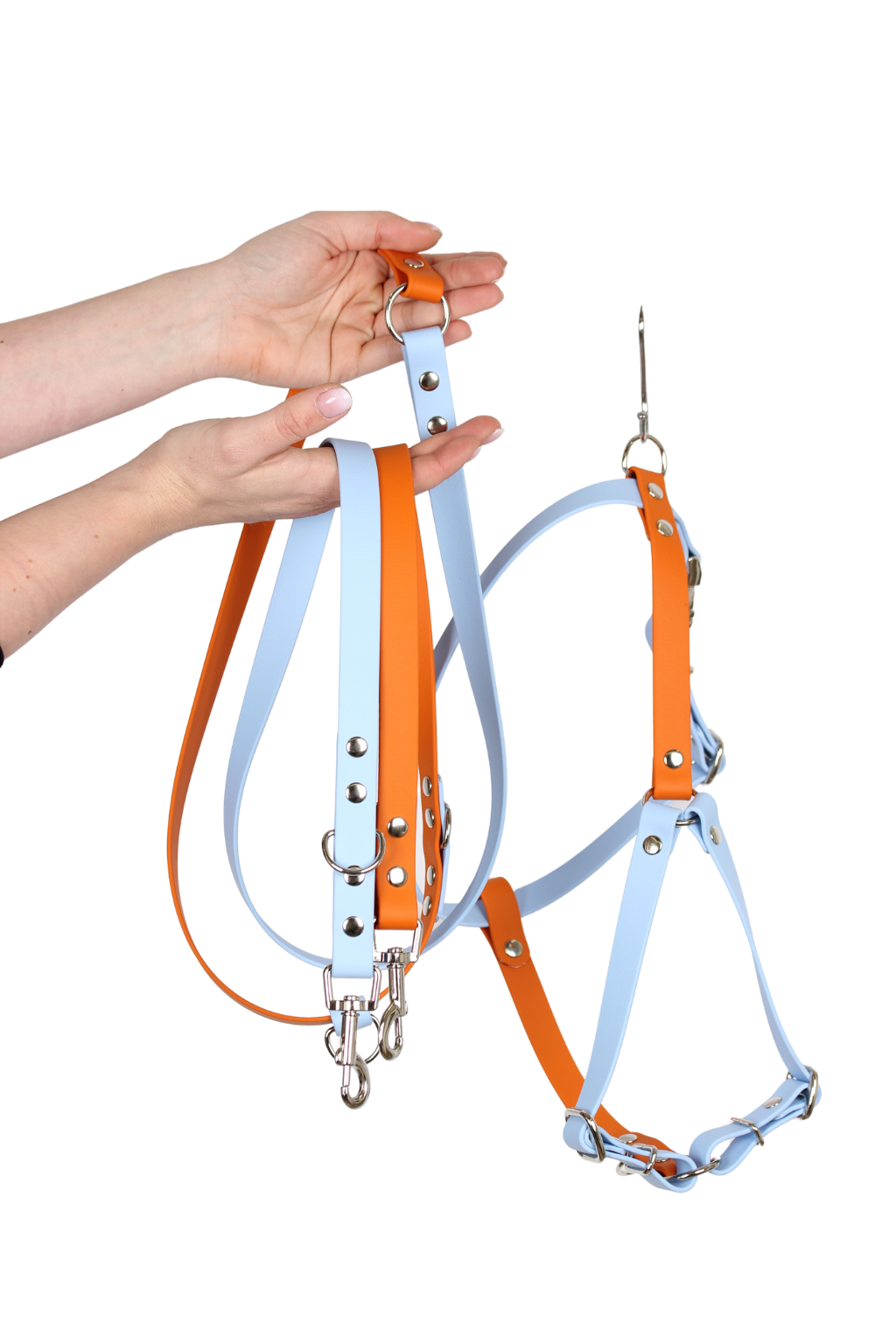 Kit Premium Arnés - Glacier & Amber